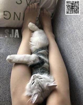 不忠无删减145分钟