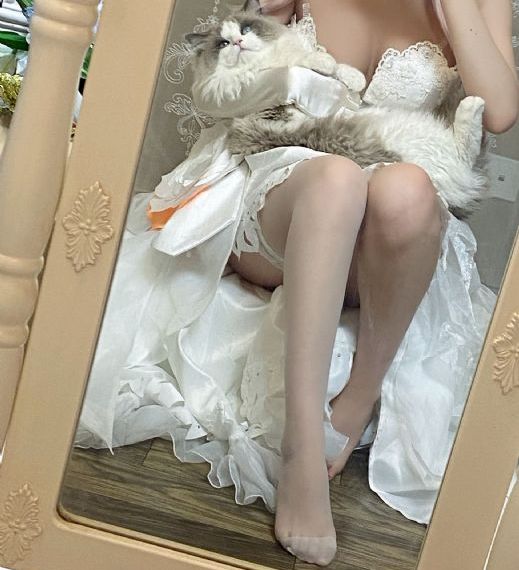 在线免费观看高清视频
