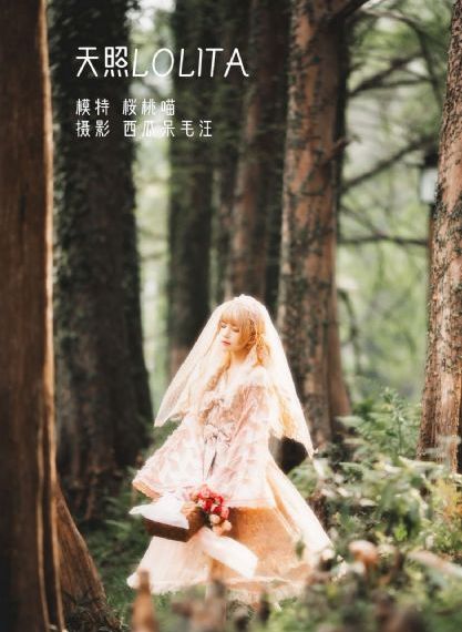 倚天屠龙记1-40集免费看