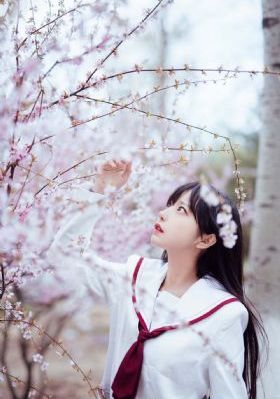 战地青春之歌